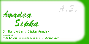 amadea sipka business card